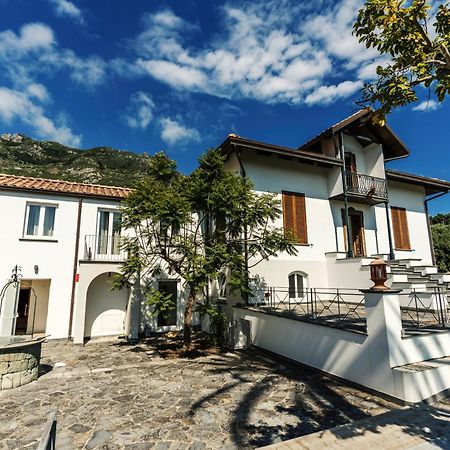 Tenuta Calitto Wine Resort E Spa Іскія Екстер'єр фото