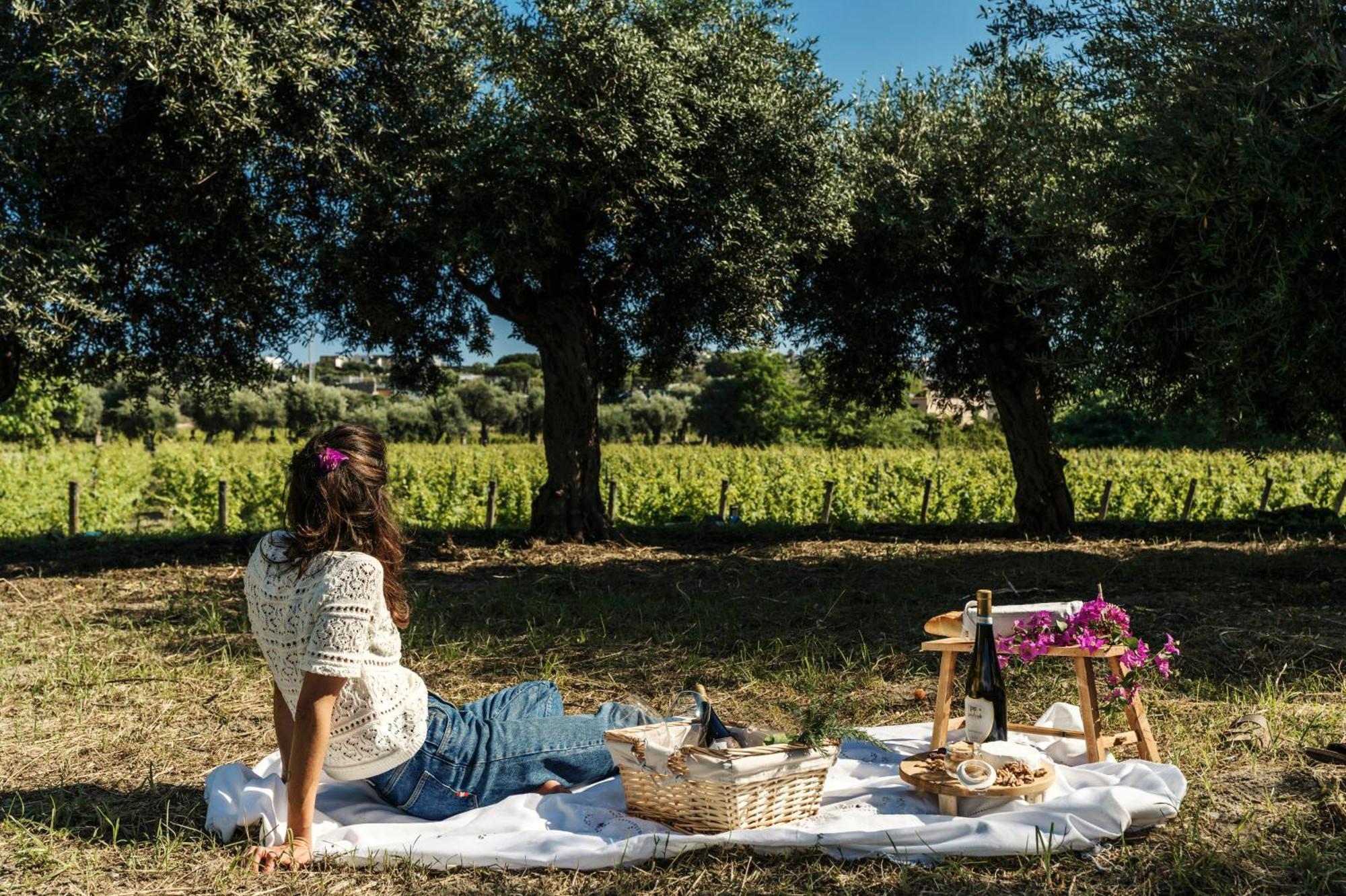 Tenuta Calitto Wine Resort E Spa Іскія Екстер'єр фото