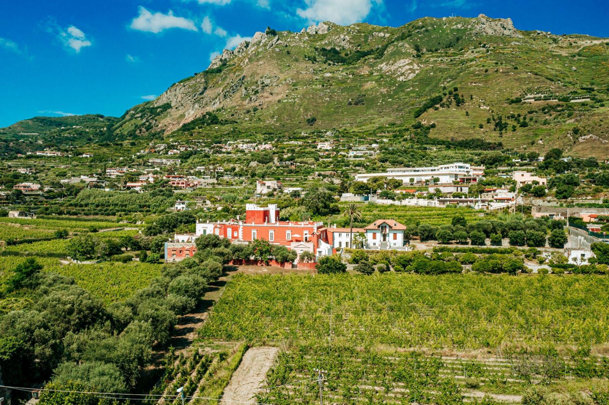 Tenuta Calitto Wine Resort E Spa Іскія Екстер'єр фото